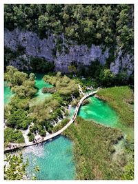 High angle view of river amidst trees