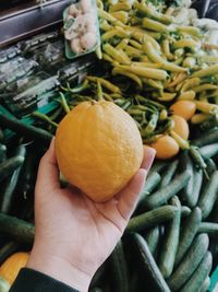 Close-up of hand holding orange at market