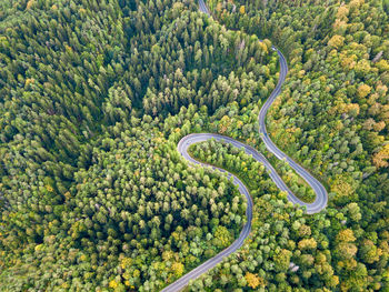 High angle view of road amidst trees