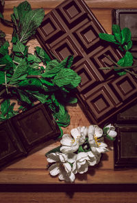 Close-up of potted plant on table