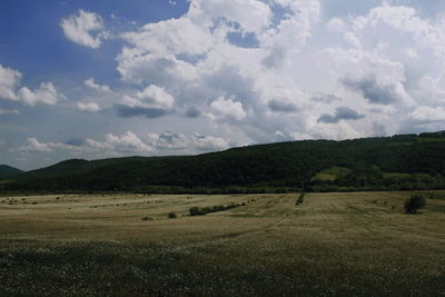 Scenic view of field against sky