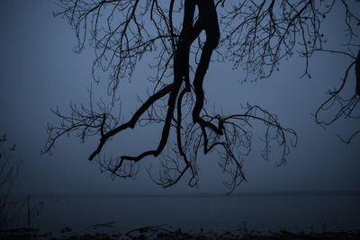 Silhouette bare tree against sky