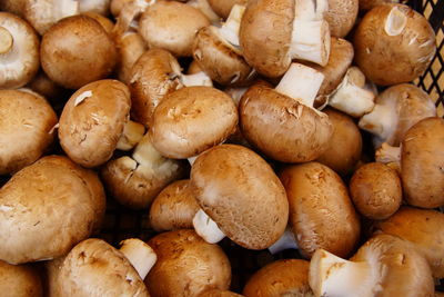 Full frame shot of chopped mushrooms