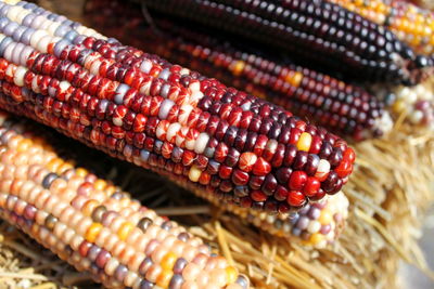 High angle view of bloody butcher corns at market stall