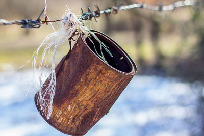 Close-up of dry leaf hanging on wood