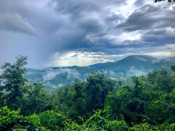 Scenic view of forest against cloudy sky