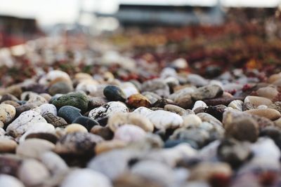 Close-up of pebbles