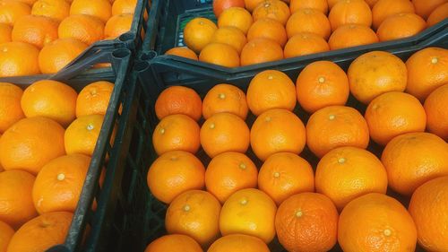 Close-up of fruits for sale at market