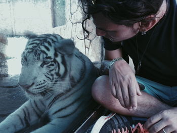 Man sitting by white tiger cub