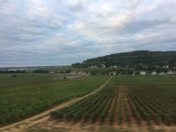 Scenic view of agricultural field against sky