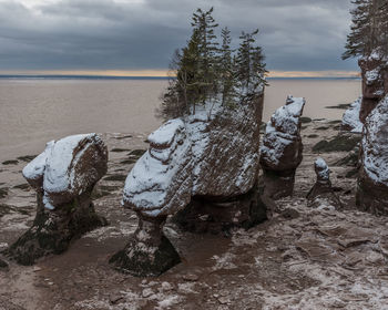 Rocks on shore at beach against sky