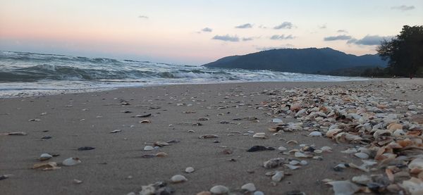 Scenic view of beach against sky during sunset