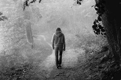 Rear view of woman walking on pathway in forest during foggy weather