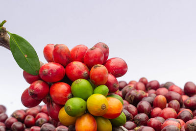 Close-up of cherries against sky