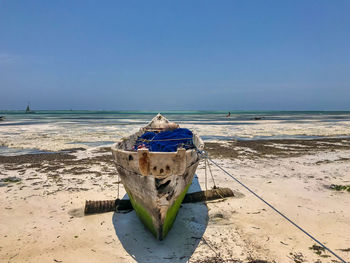 Landscapes of zanzibar