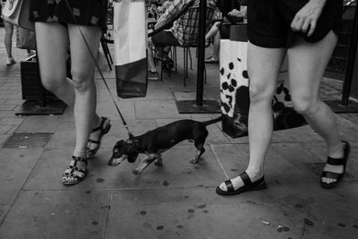 Low section of people with dog