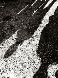 High angle view of shadow on street