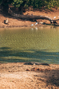 Scenic view of lake