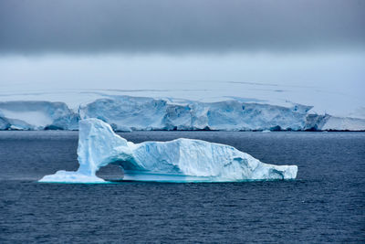 Icebergs in antarctica continent