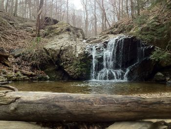 Scenic view of waterfall in forest