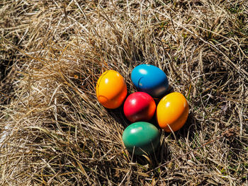 High angle view of multi colored eggs on field