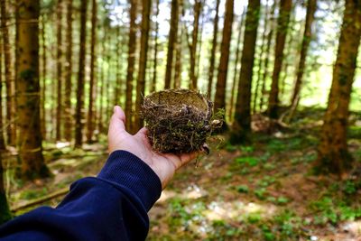 Midsection of man holding tree trunk in forest