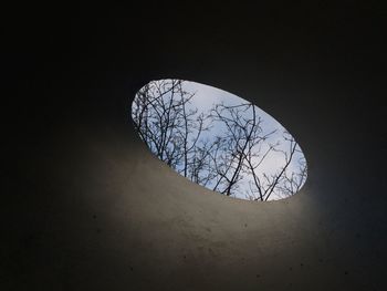 Low angle view of bare trees against clear sky