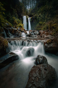 Scenic view of waterfall in forest