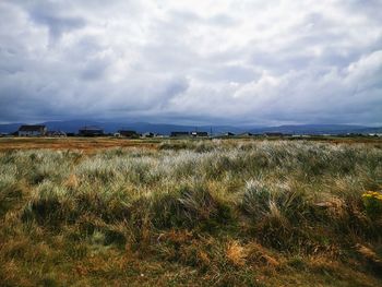 Scenic view of field against sky