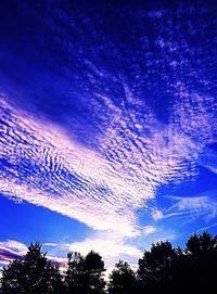 Low angle view of silhouette trees against sky