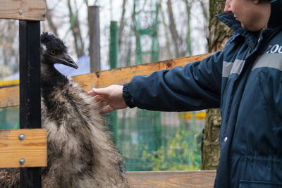 Midsection of man touching ostrich at zoo