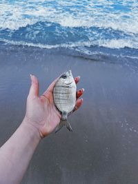 Midsection of person holding leaf against sea