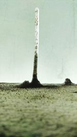 Close-up of landscape against sky