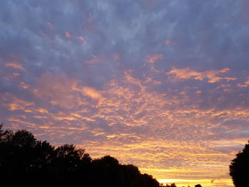 Low angle view of silhouette trees against sky during sunset