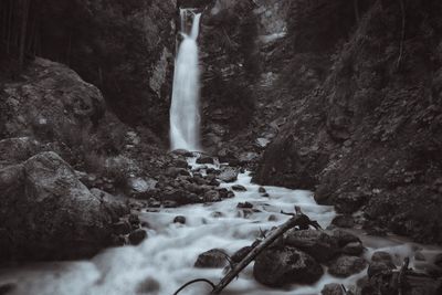 Scenic view of waterfall in forest