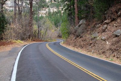 Road amidst trees in forest
