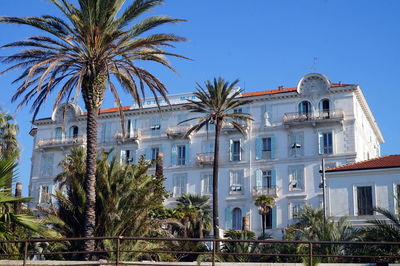 Palm trees and buildings against blue sky