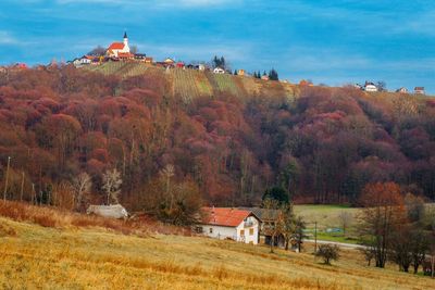 Trees and houses against sky during autumn