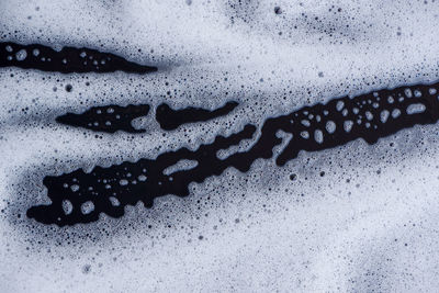 High angle view of raindrops on car windshield