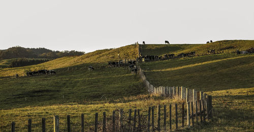 Scenic view of landscape against clear sky