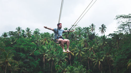 Man swinging against coconut palm trees