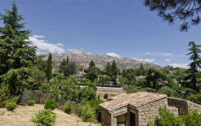 Houses by trees against sky