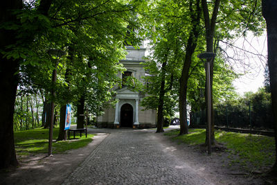 Trees in front of building