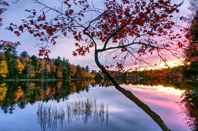 Scenic view of lake against sky during autumn