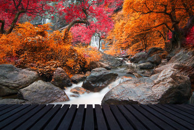 Scenic view of waterfall on rocks during autumn