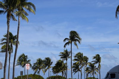 Low angle view of coconut palm trees against sky