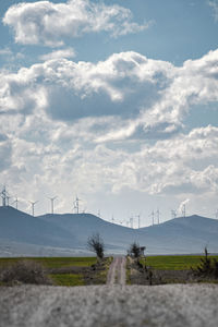 Bare tree on field against sky