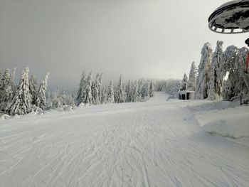 Snow covered land and trees against sky