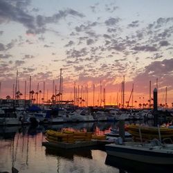 Boats moored at harbor