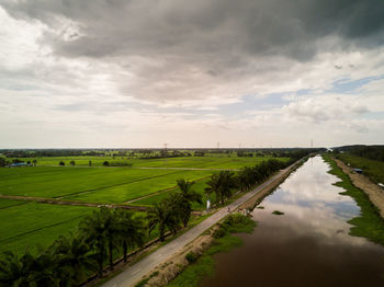 Scenic view of agricultural field against sky